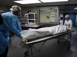 Medical Examiner